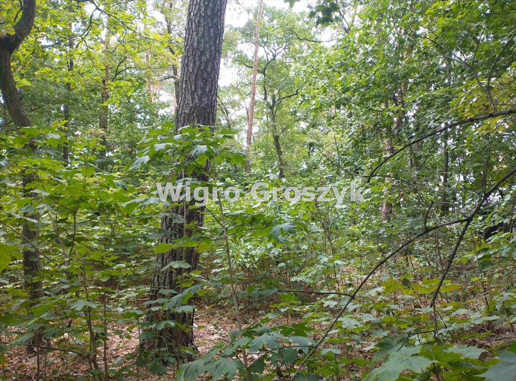 Działka 1200 m² w centrum Józefowa - media i duży potencjał Józefów, Centrum, Długa  1 200m2 Foto 1