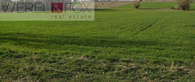 Działka inna na sprzedaż Białystok, Skorupy 5 794m2 Foto 1 Działka inna na sprzedaż Białystok, Skorupy 5 794m2 Foto 1