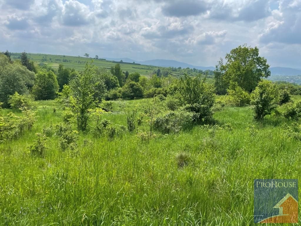 Działka budowlana na sprzedaż Zamieście  4 800m2 Foto 8