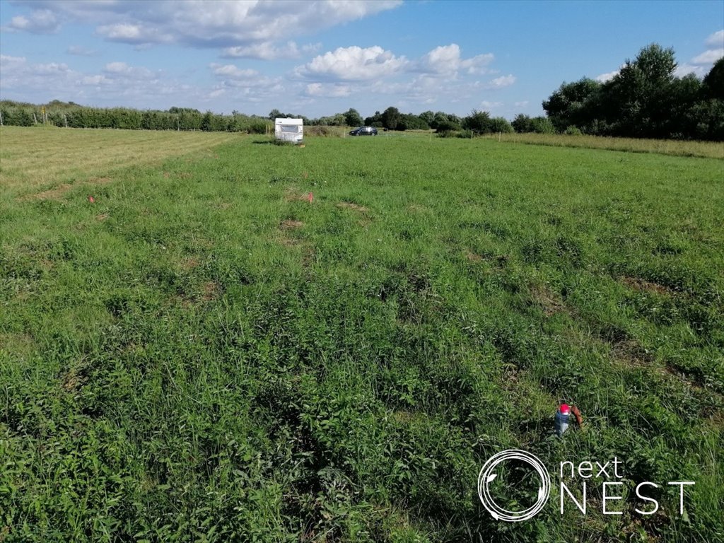 Działka siedliskowa na sprzedaż Wilczkowice Dolne  8 000m2 Foto 2