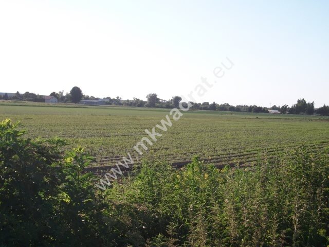 Działka rolna na sprzedaż Duchnice  3 000m2 Foto 1