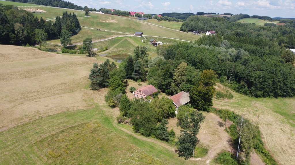 Działka budowlana na sprzedaż Lutcza  107 000m2 Foto 2