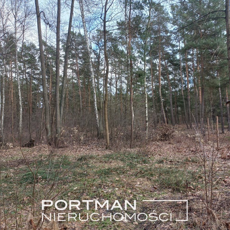 Zalesiona działka 3050 m² z lasem i planem zabudowy Warszawa, Wawer, Radość  3 050m2 Foto 1