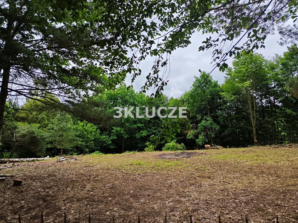 Na sprzedaż działka 2400 m² w Dąbrowicy z dostępem do mediów Dąbrowica  2 400m2 Foto 1