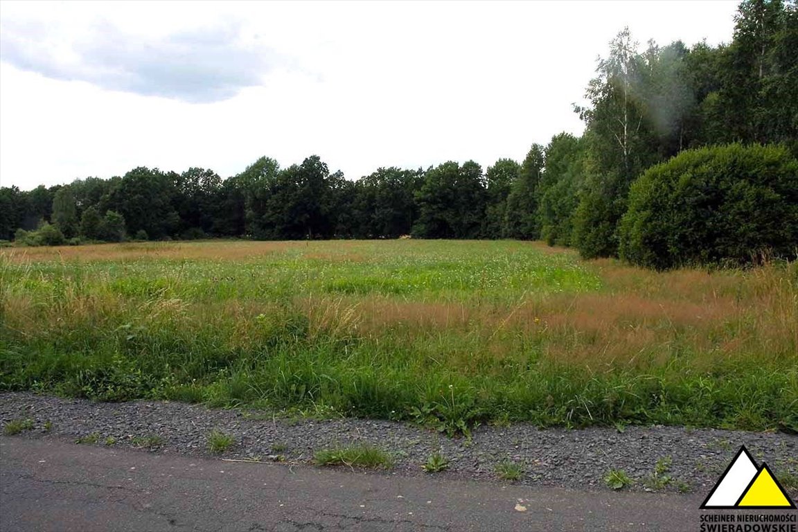 Działka budowlana na sprzedaż Rębiszów, Rębiszów  1 000m2 Foto 3