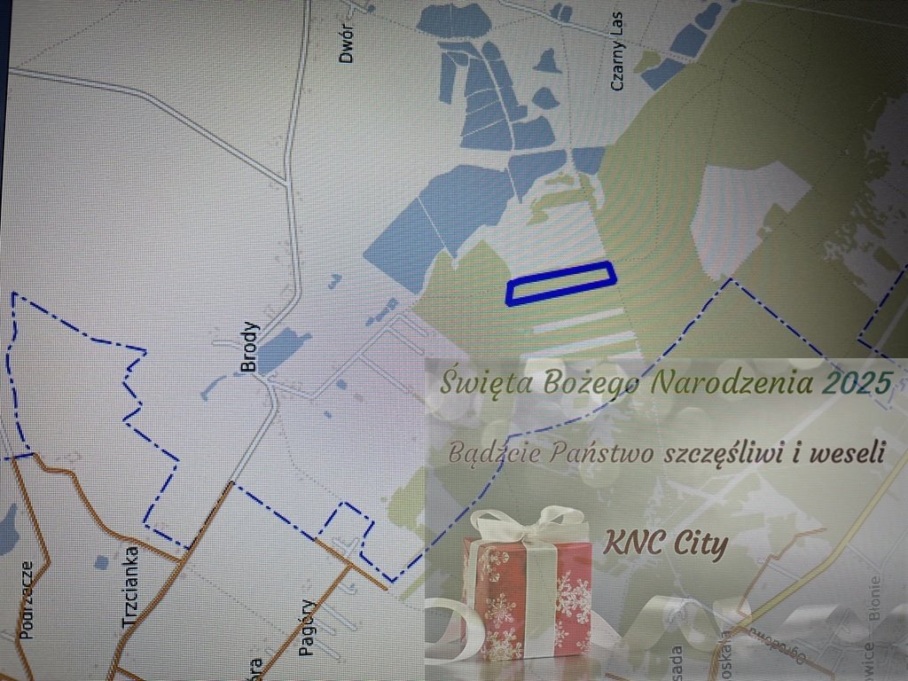 Działka leśna na sprzedaż Brody  39 390m2 Foto 1