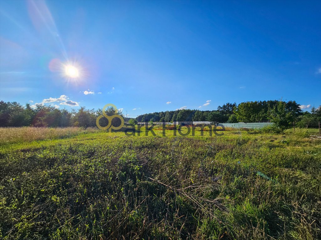 Działka budowlana na sprzedaż Zielona Góra, Przylep  1 001m2 Foto 6