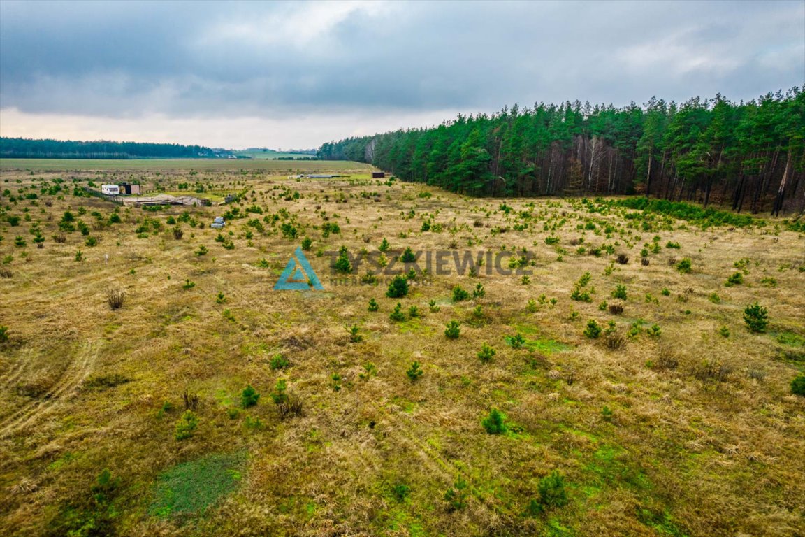 Działka budowlana na sprzedaż Żuromino  1 173m2 Foto 7