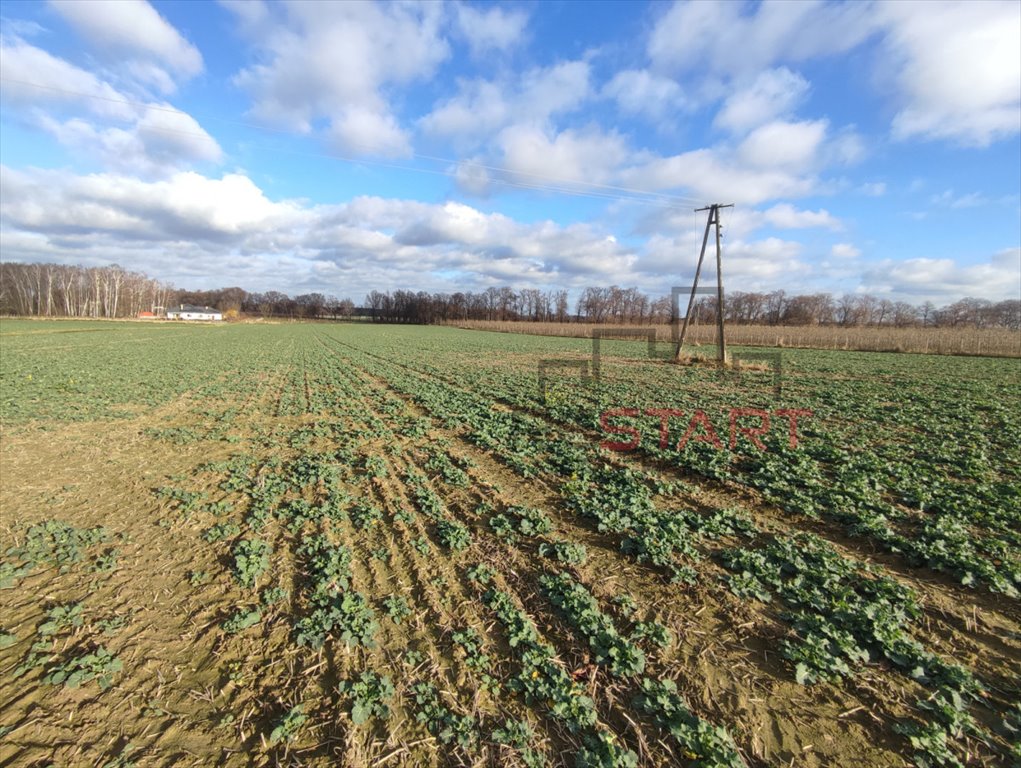 Działka rolna na sprzedaż Pasikonie  27 063m2 Foto 3