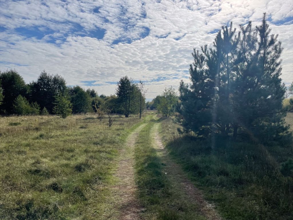 Działka rolna na sprzedaż Michałowo  38 400m2 Foto 11