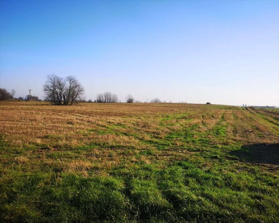 Działka na Lipowej Górze Wschodniej – 3000 m², spokojna okolica Lipowa Góra Wschodnia  3 000m2 Foto 1