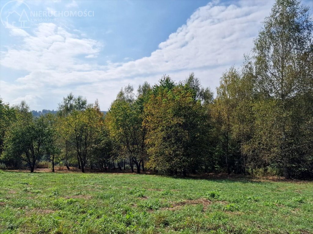 Działka budowlana na sprzedaż Tuchów  4 632m2 Foto 7