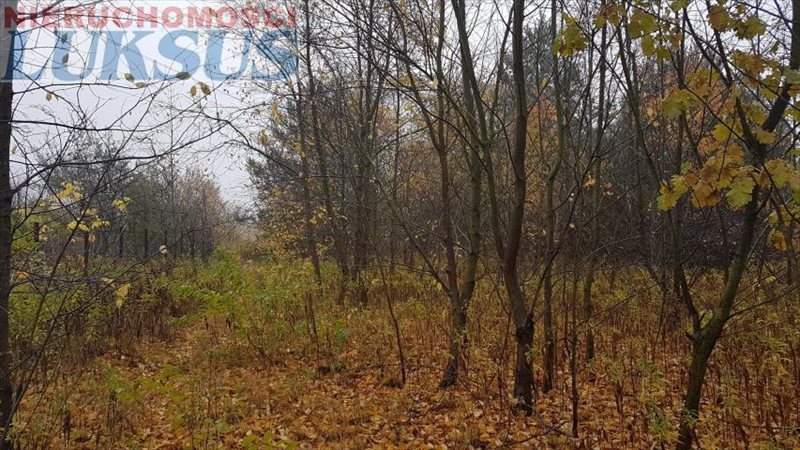 Działka budowlana na sprzedaż Sękocin Nowy 1 075m2 Foto 1 Działka budowlana na sprzedaż Sękocin Nowy 1 075m2 Foto 1