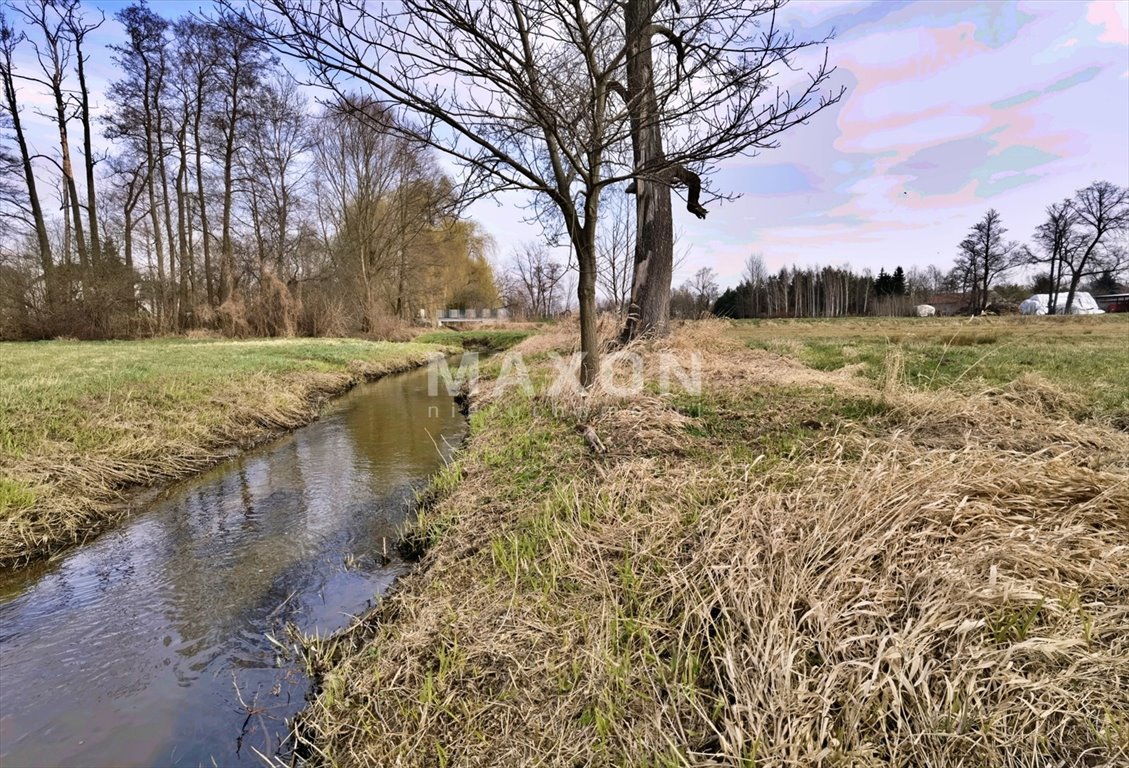 Działka budowlana na sprzedaż Walendów  5 478m2 Foto 13