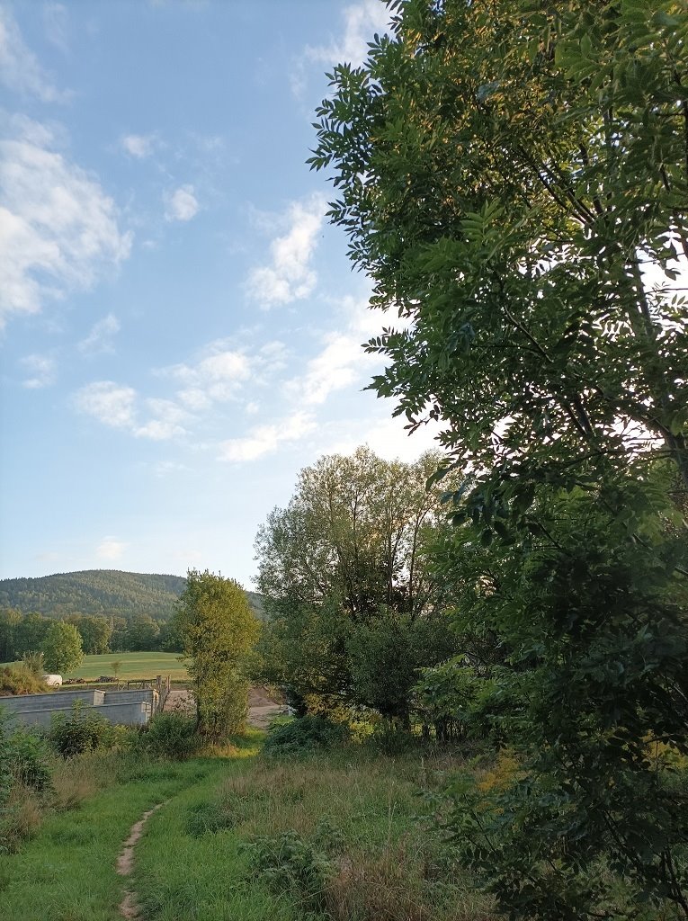 Działka budowlana na sprzedaż Kowary, Czesława Miłosza  801m2 Foto 7