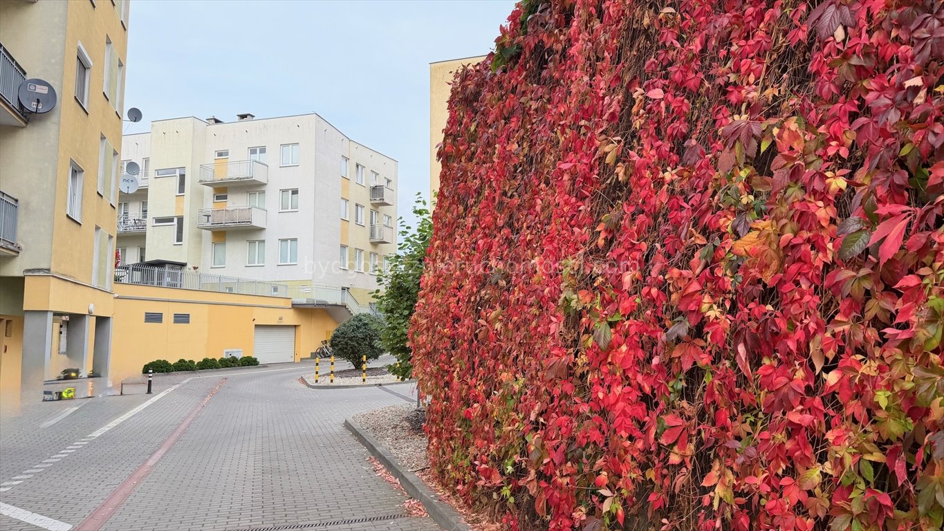Na wynajem przestronne 2-pokojowe mieszkanie 49 m² w Bydgoszczy Bydgoszcz, Centrum  49m2 Foto 1