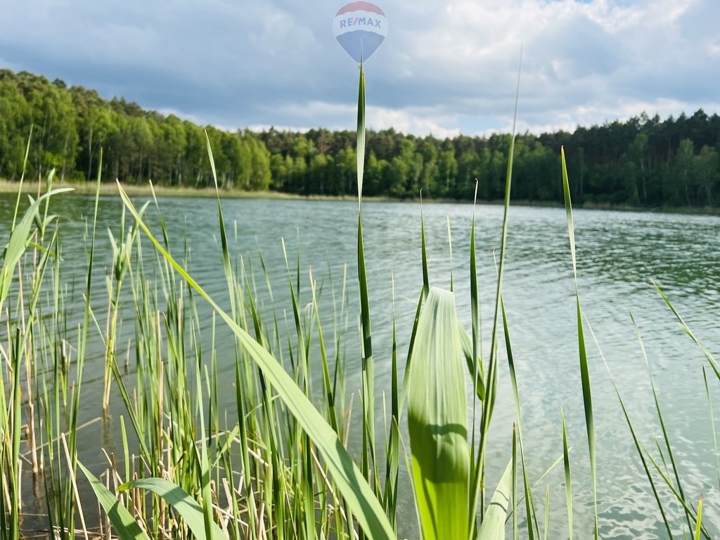 Działka inwestycyjna na sprzedaż Rakownia, Dolna  30 044m2 Foto 15