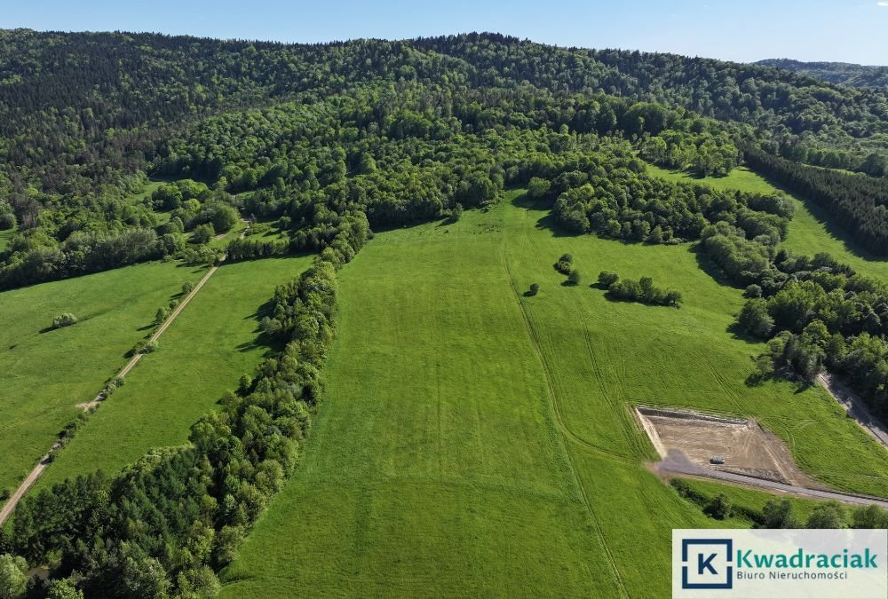 Działka inwestycyjna na sprzedaż Stężnica  7 000m2 Foto 5