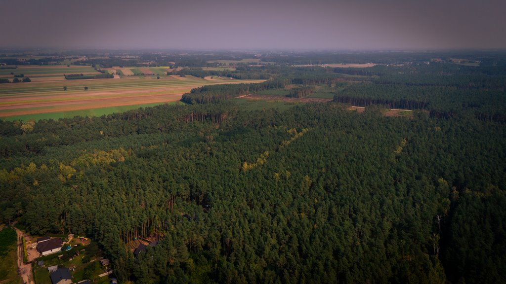 Działka budowlana na sprzedaż Poddębice, Partyzantów  1 018m2 Foto 9