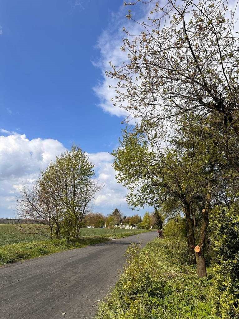 Dom na sprzedaż Przybiernowo  160m2 Foto 7