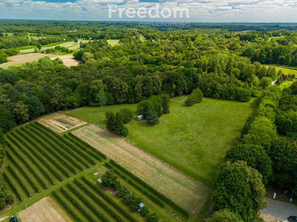 Działka budowlana na sprzedaż Kazimierz Dolny  25 821m2 Foto 4