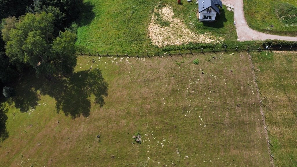 Działka budowlana na sprzedaż Korczyna  704m2 Foto 4