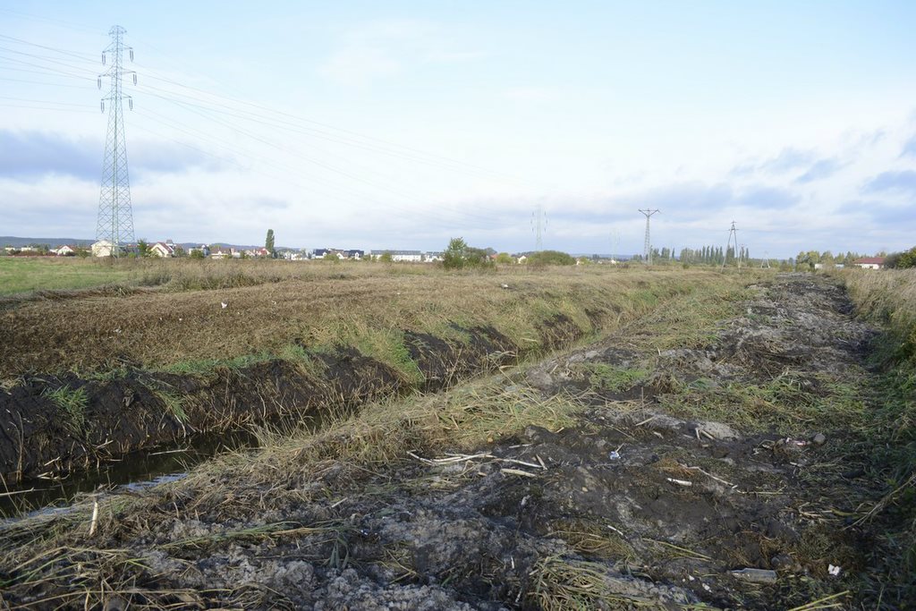 Działka przemysłowo-handlowa na sprzedaż Dębogórze, Dębogórze-Wybudowanie  2 860m2 Foto 11