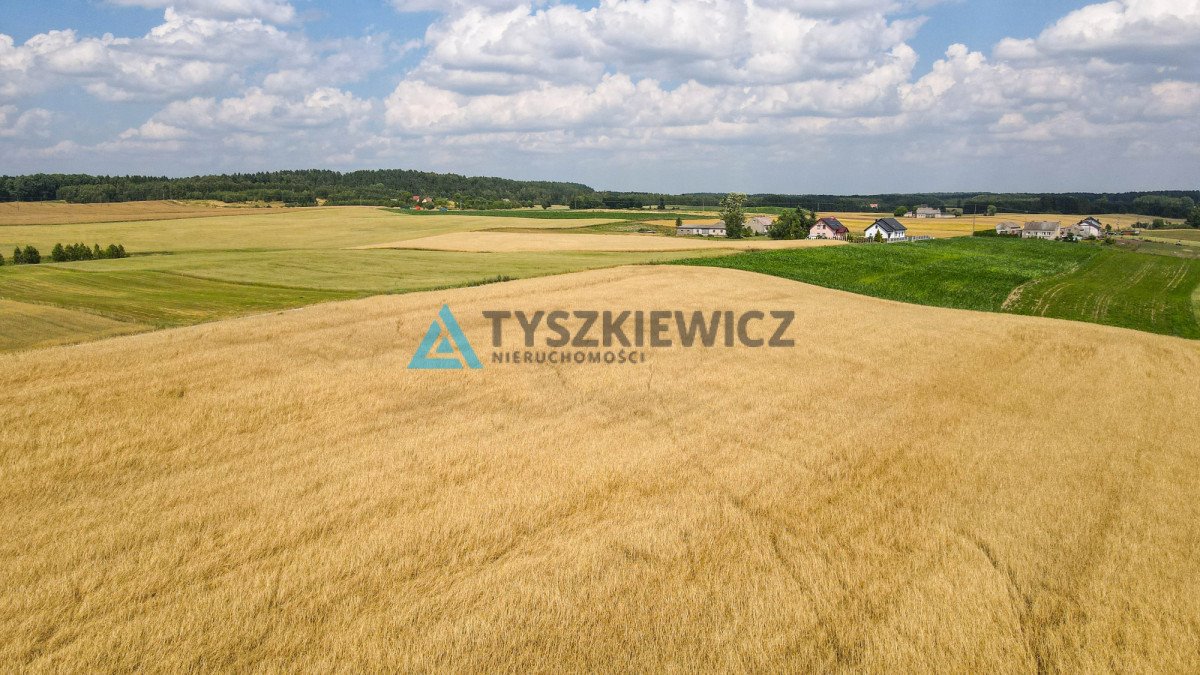 Działka rolna na sprzedaż Szczodrowo  38 300m2 Foto 12