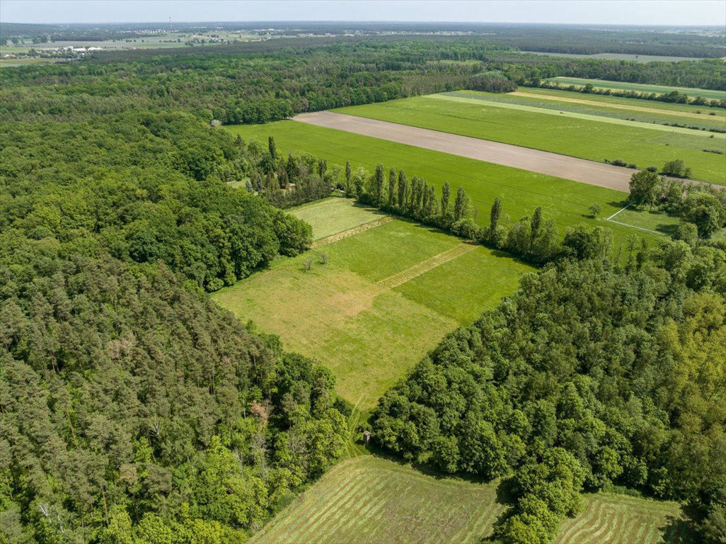 Działka budowlana na sprzedaż Bieczyny, Piękna  5 018m2 Foto 4