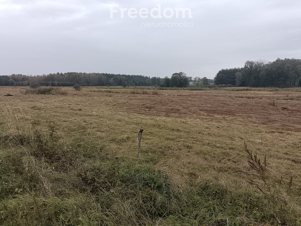 Działka rolna na sprzedaż Rudniki  8 200m2 Foto 5