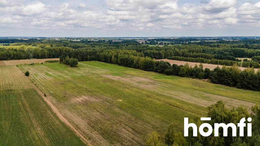 Działka rolna na sprzedaż Zdziechów  45 600m2 Foto 10