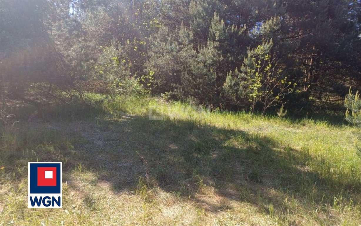 Działka rolna na sprzedaż Kroczyce Okupne, Podlesice  2 600m2 Foto 10