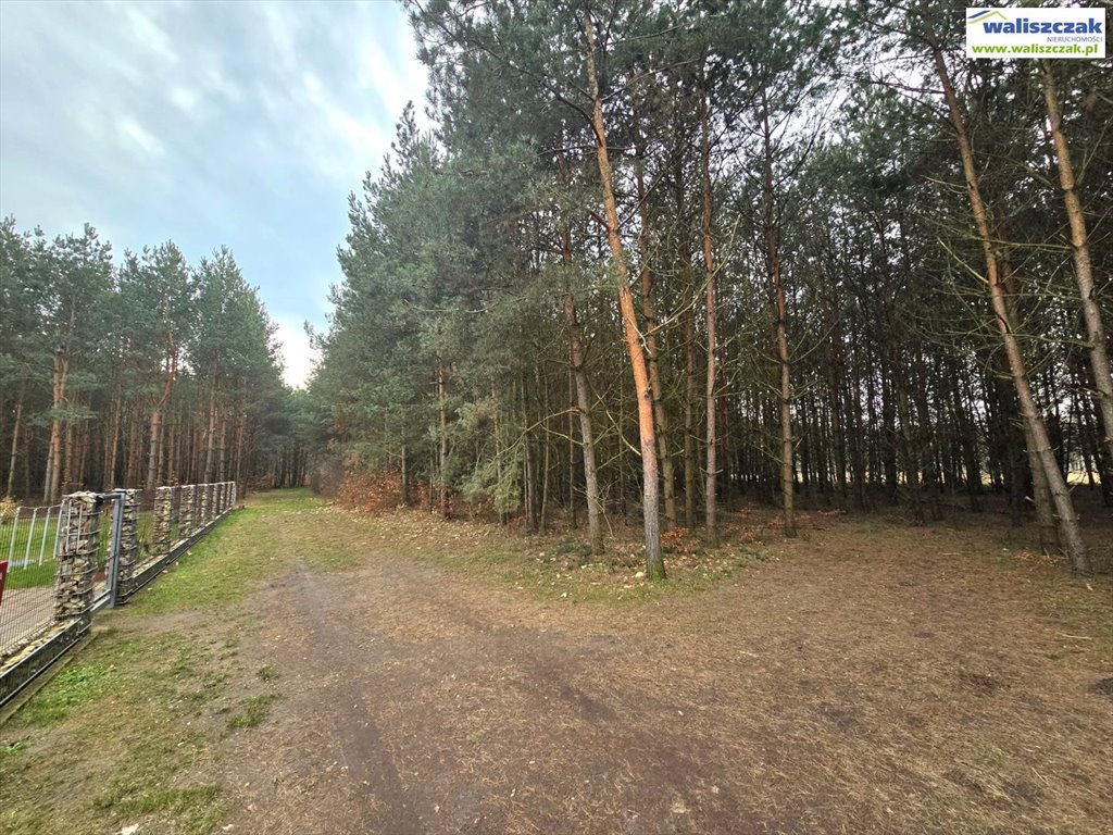 Działka pod dom w Sulejowie, 1046 m², media w drodze Sulejów, Dobra Woda  1 046m2 Foto 1