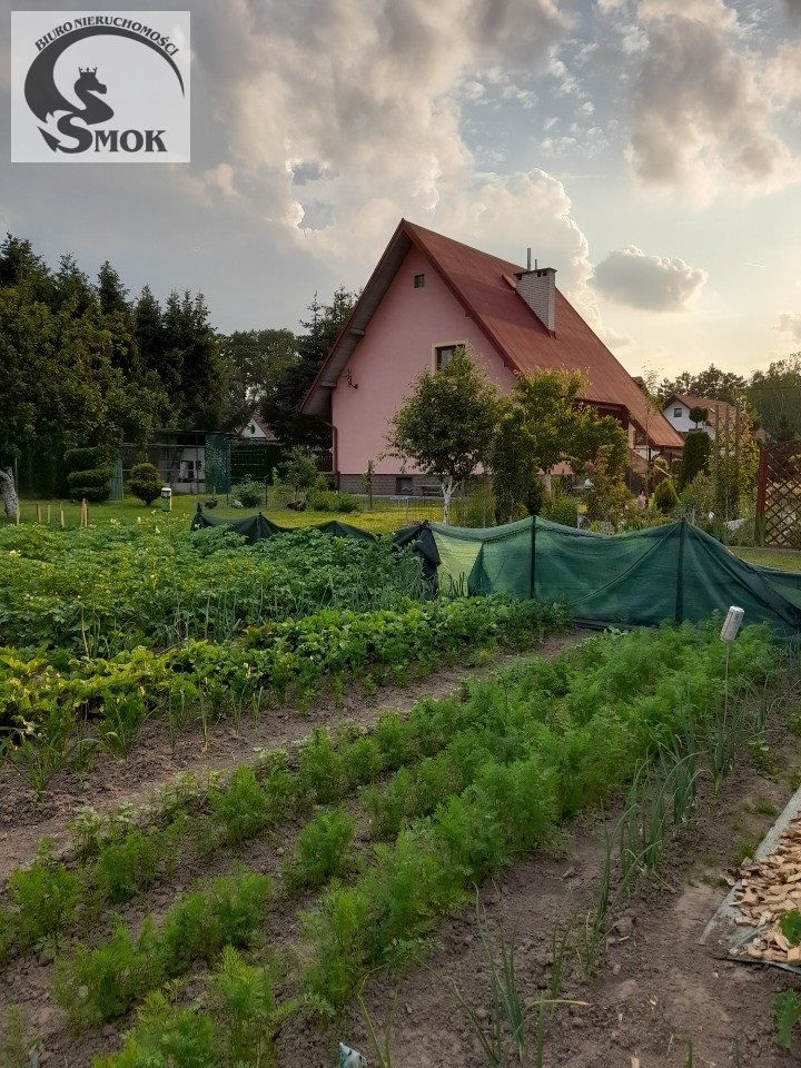 Dom na sprzedaż Lusina  250m2 Foto 1