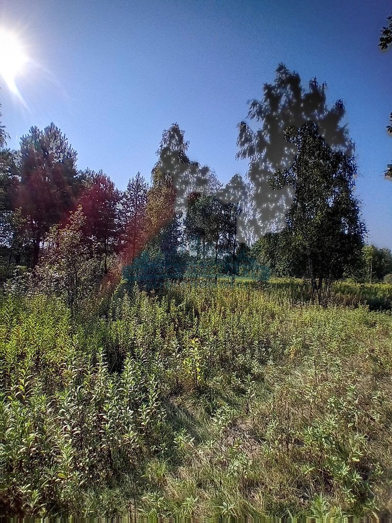 Działka budowlana na sprzedaż Izabelin-Dziekanówek  1 200m2 Foto 15