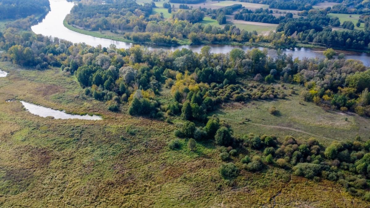 Działka rolna na sprzedaż Michałowo  38 400m2 Foto 3