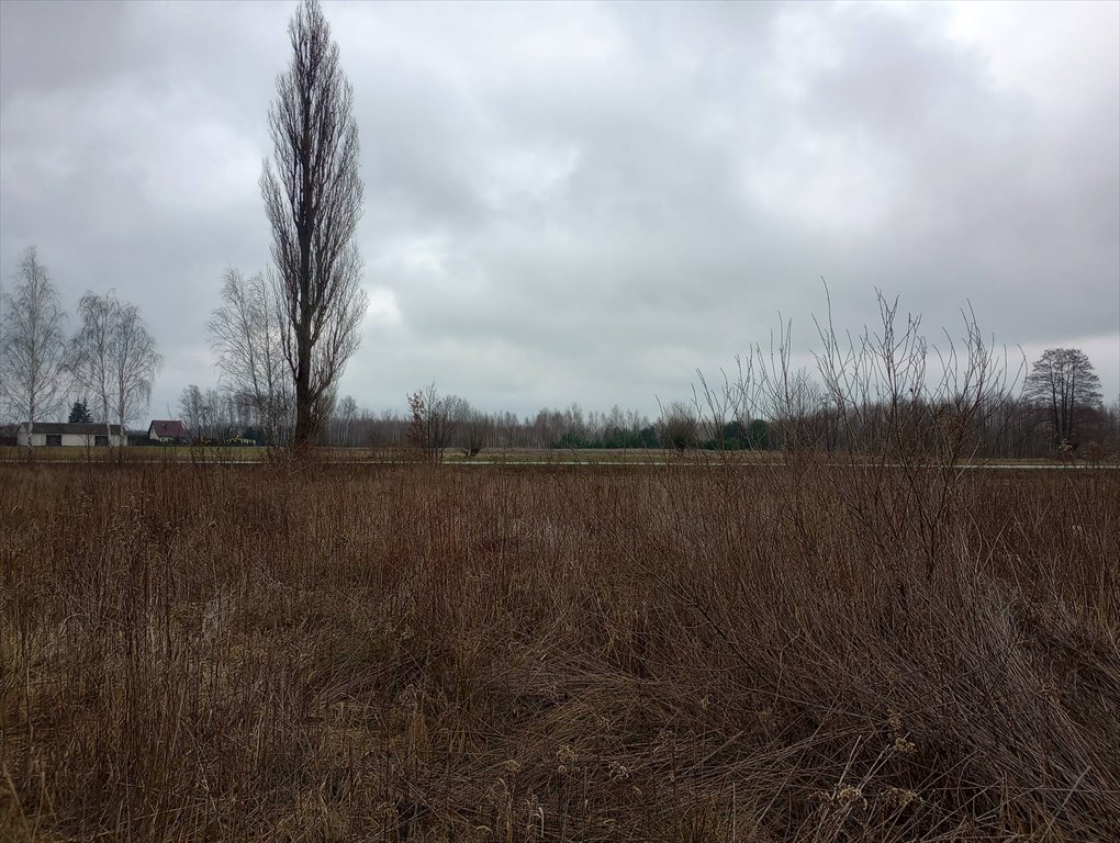 Działka budowlana na sprzedaż Stanisławów  2 920m2 Foto 17