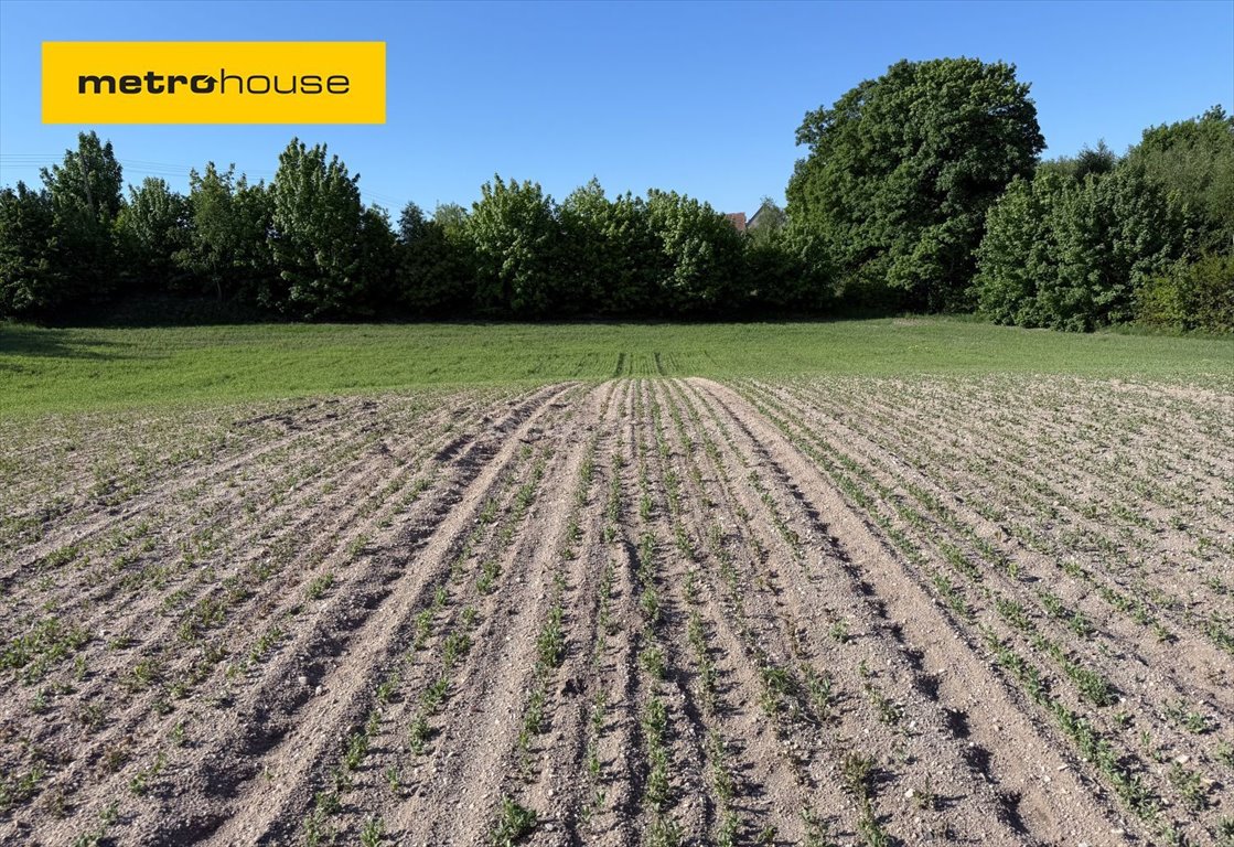 Działka budowlana na sprzedaż Okmiany  4 661m2 Foto 1