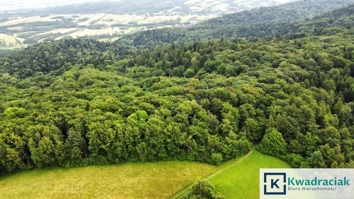 Działka leśna na sprzedaż Stary Żmigród  96 100m2 Foto 9