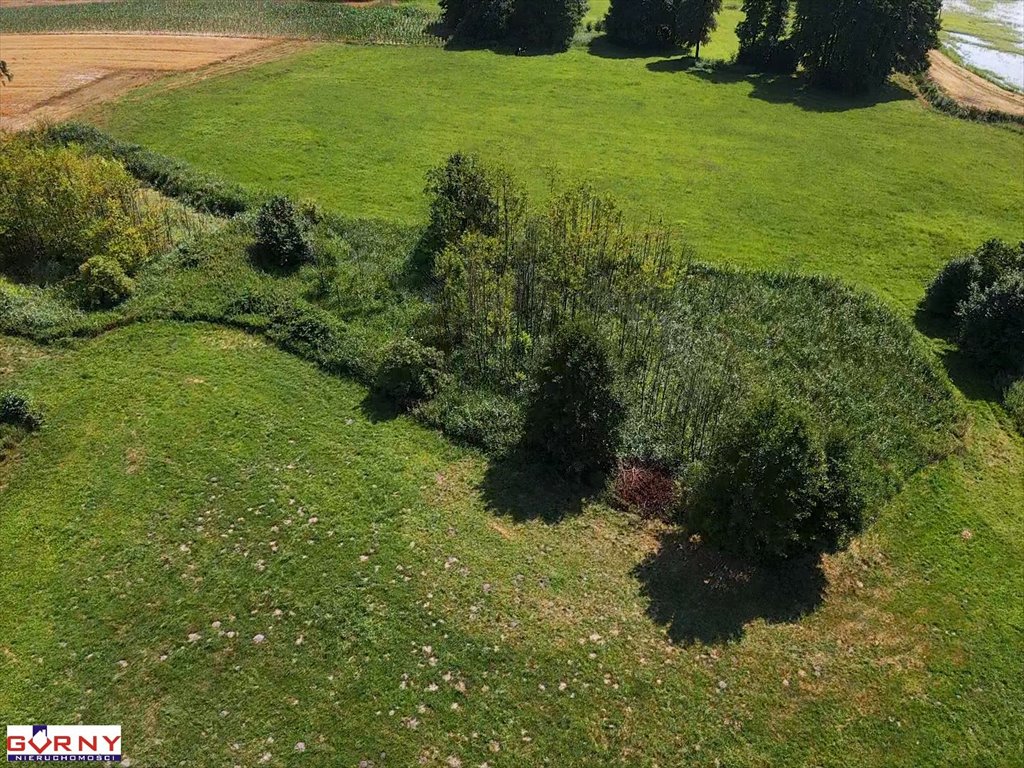 Działka inna na sprzedaż Mierzyn  32 000m2 Foto 6