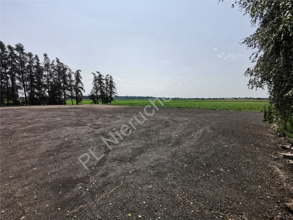 Działka siedliskowa na sprzedaż Umiastów  14 900m2 Foto 1