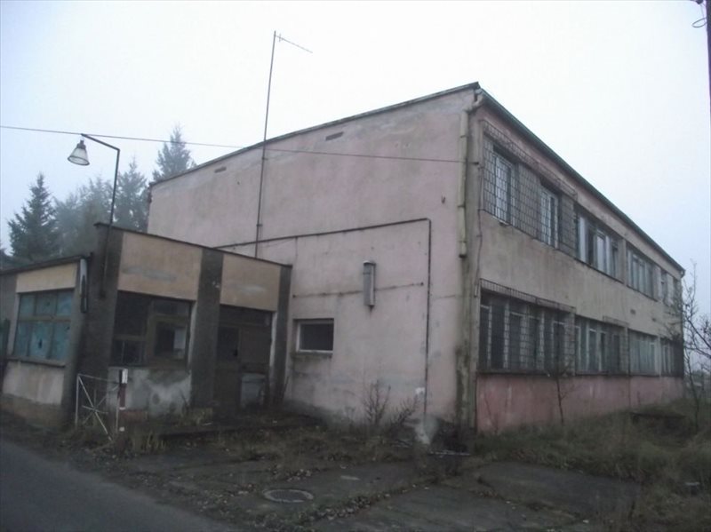 Lokal użytkowy na wynajem Nowogród Bobrzański 600m2 Foto 1 Lokal użytkowy na wynajem Nowogród Bobrzański 600m2 Foto 1