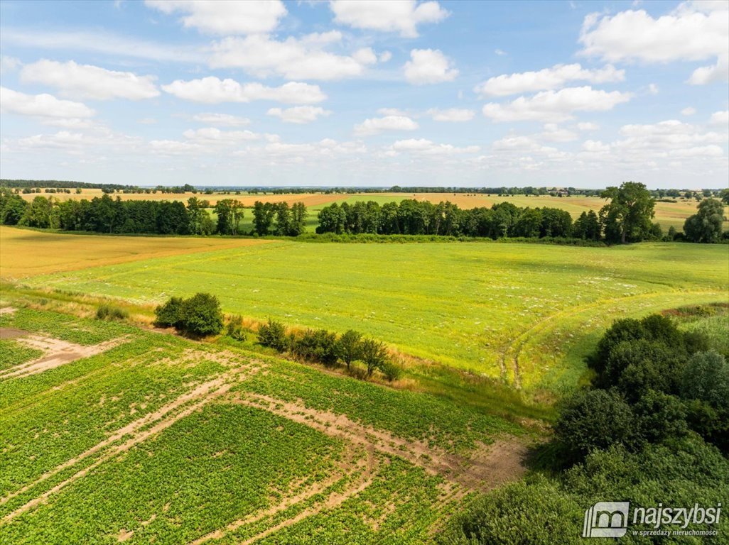 Działka rolna na sprzedaż Obromino  21 701m2 Foto 19