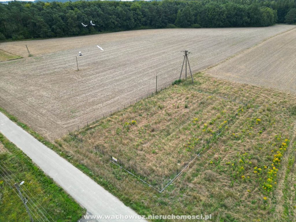 Działka siedliskowa na sprzedaż Pojałowice  1 298m2 Foto 2