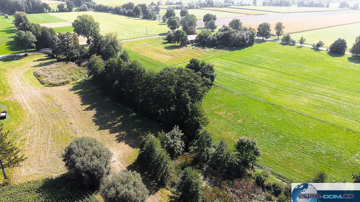 Działka budowlana na sprzedaż Borucin  15 658m2 Foto 14