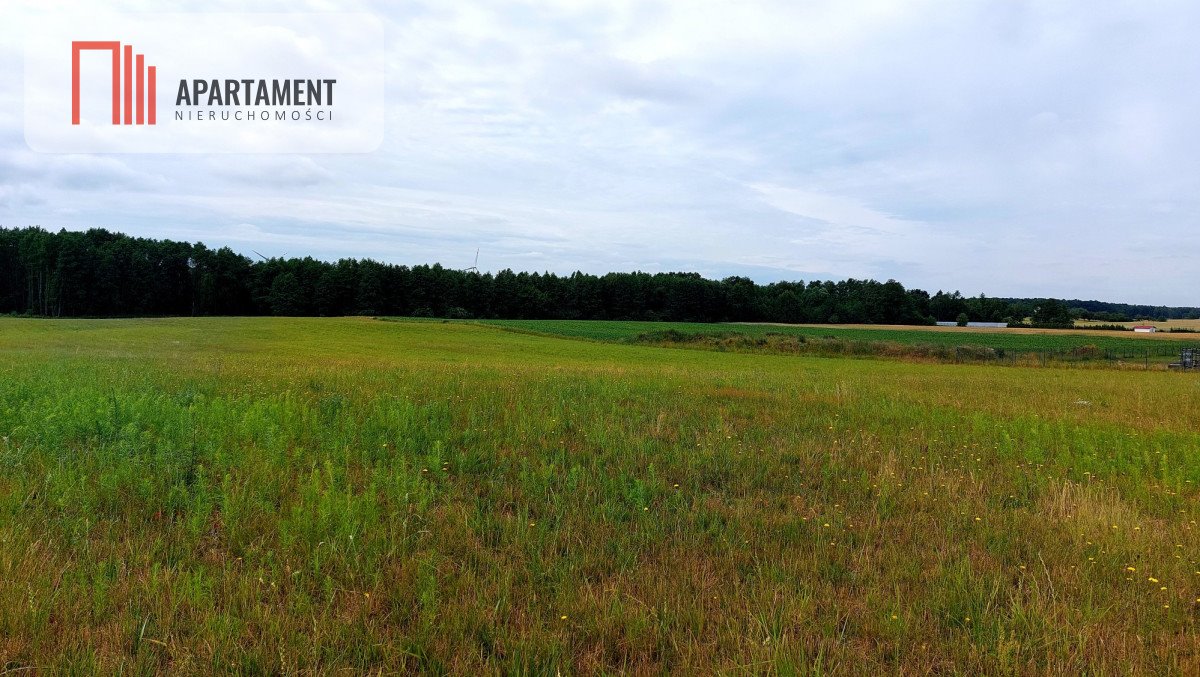 Działka budowlana na sprzedaż Witunia  1 002m2 Foto 3