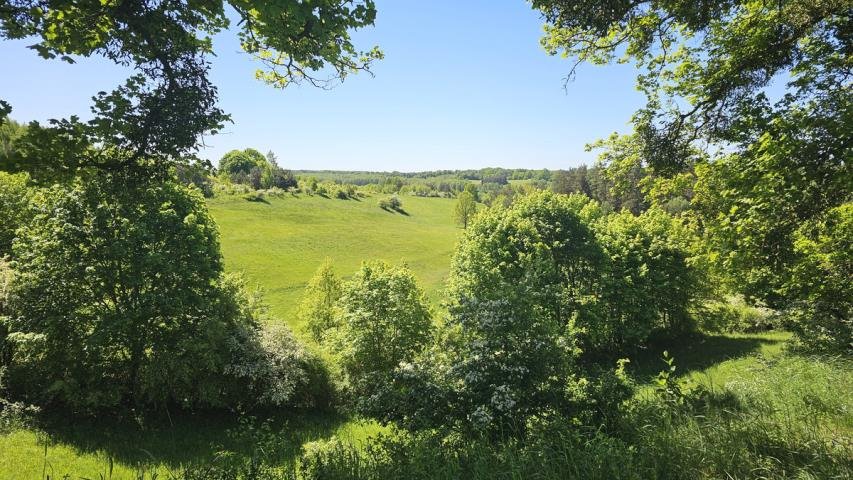 Działka inwestycyjna na sprzedaż Gubity  13 600m2 Foto 7