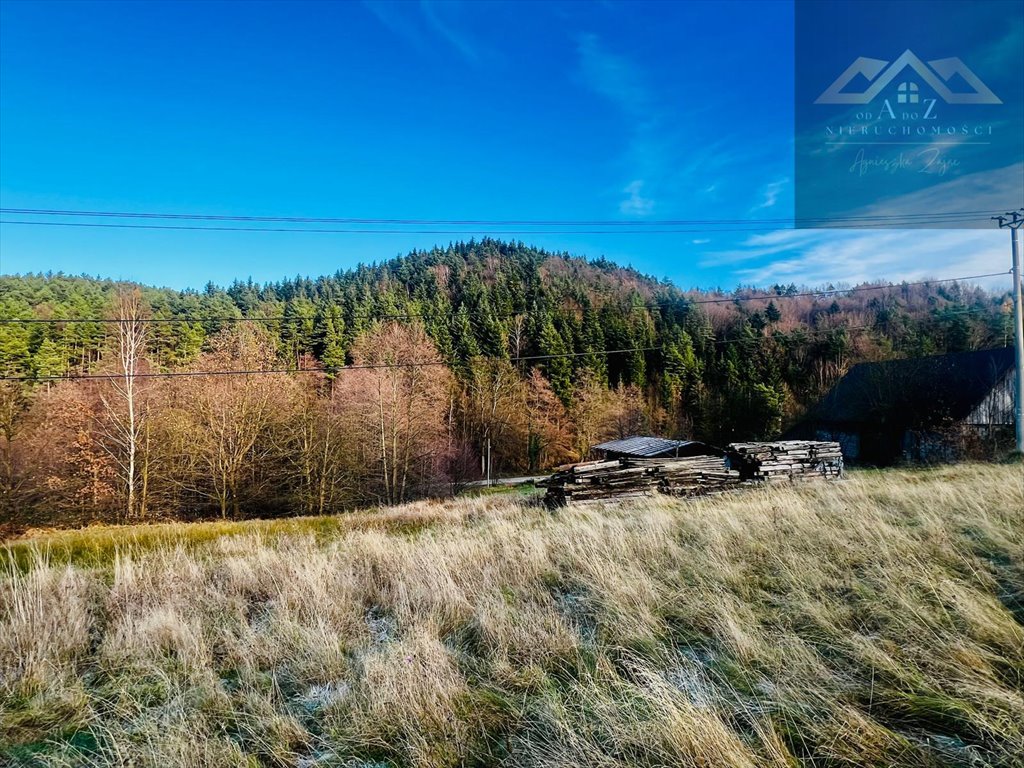 Działka budowlana na sprzedaż Łęki  4 900m2 Foto 1