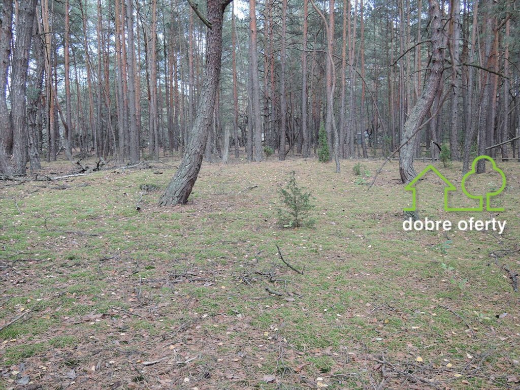 Działka leśna na sprzedaż Popowo-Letnisko  2 841m2 Foto 2