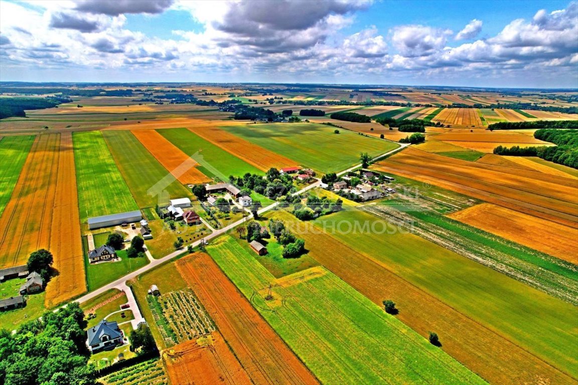 Lokal użytkowy na sprzedaż Józwów, Józwów  80m2 Foto 5